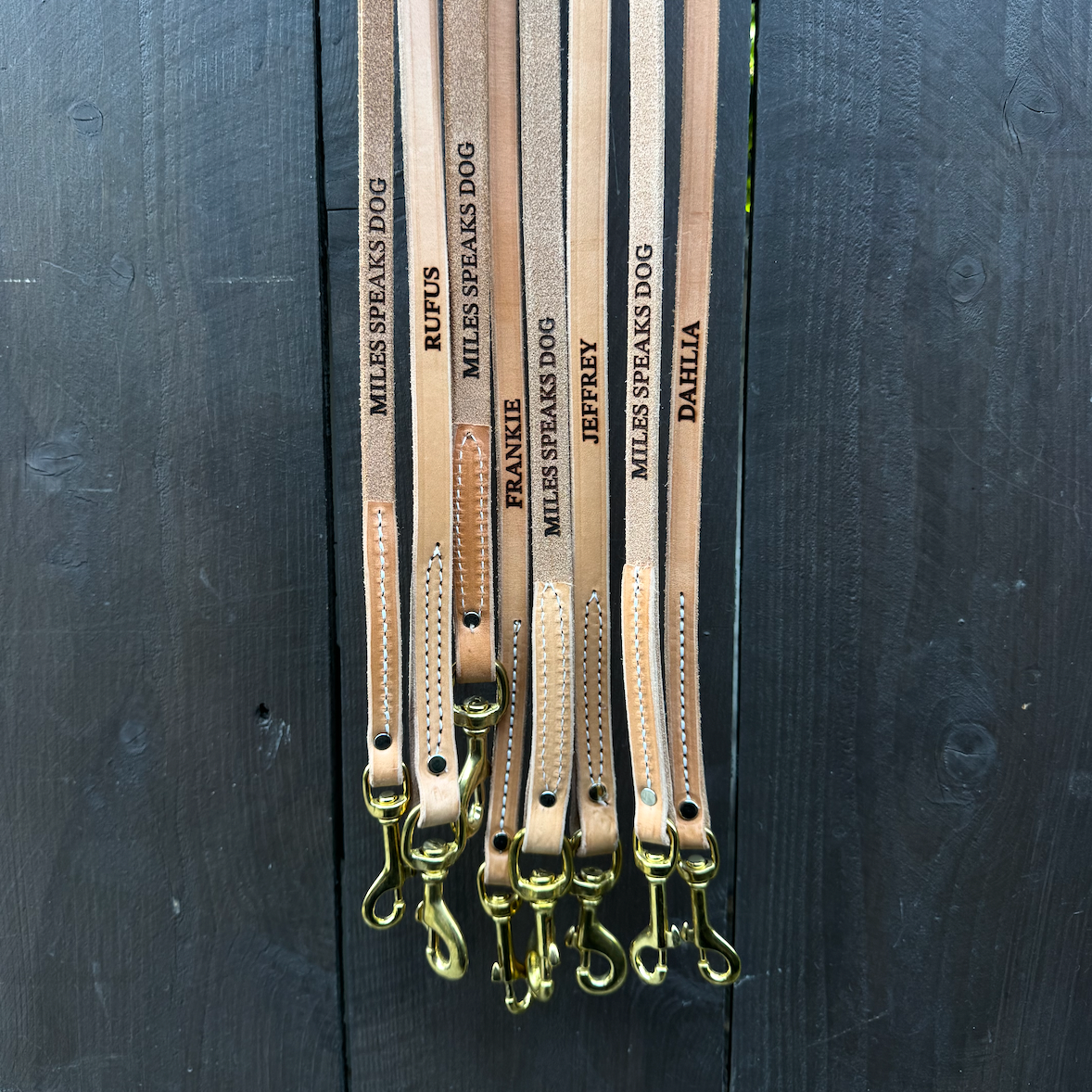 Custom MSD Leather Leash