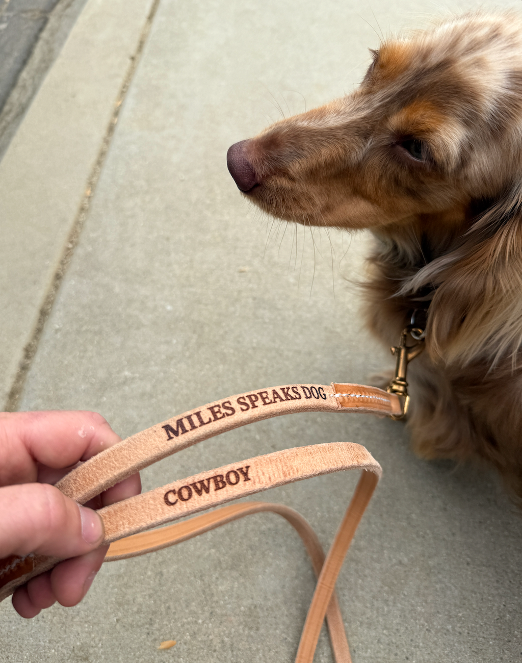 Custom MSD Leather Leash