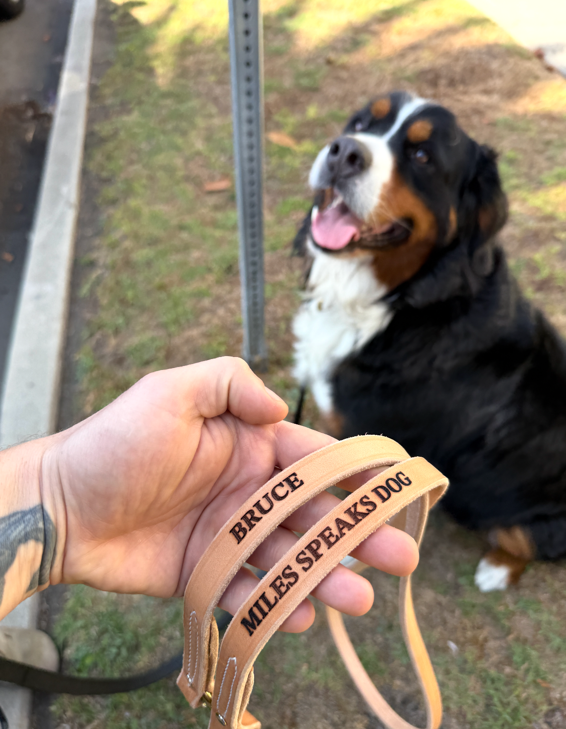 Custom MSD Leather Leash