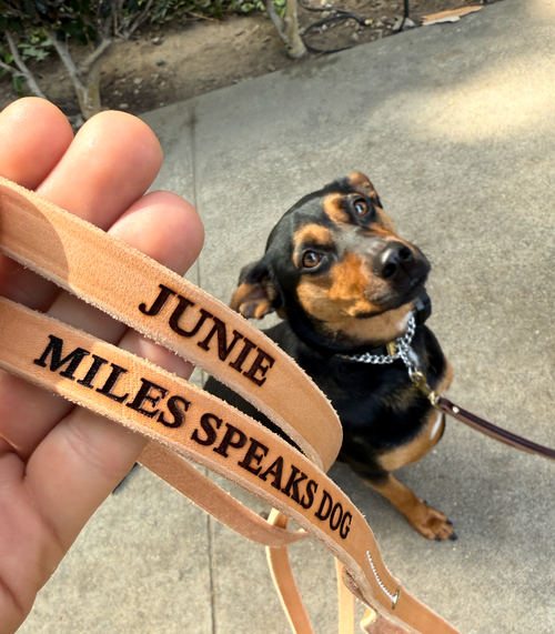 Custom MSD Leather Leash