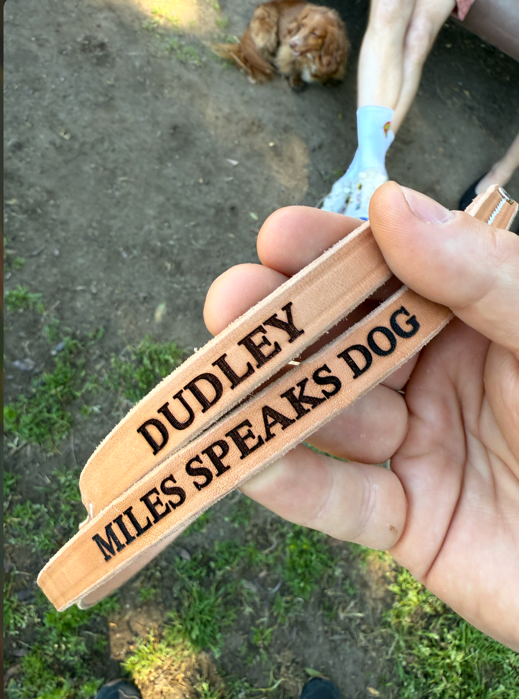 Custom MSD Leather Leash